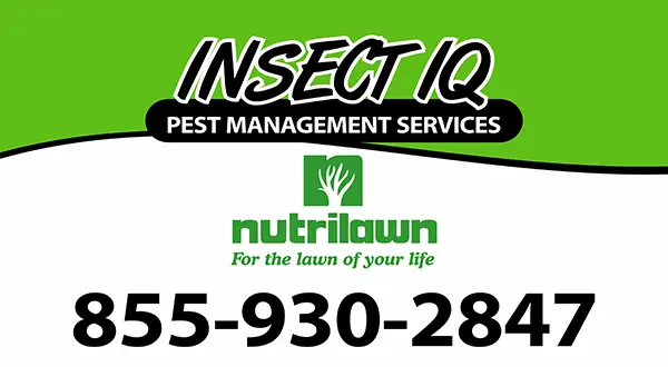 Inspect IQ Pest Management Services